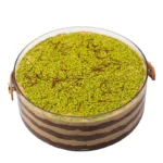 ممروسة زعبيل بالرهش