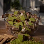 Crispy Pistachio - Image 3